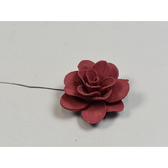Flori acacia 6cm vopsit bordeaux