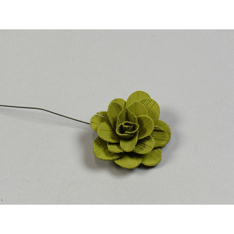 Flori acacia 6cm vopsit oliv