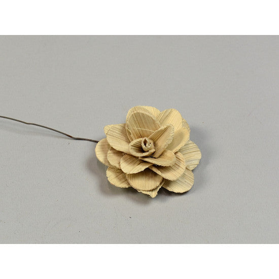 Flori acacia 6cm inalbit