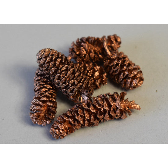 Fructe arini indiane bronz