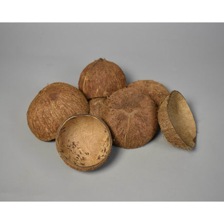 Coaja nuca de cocos natur
