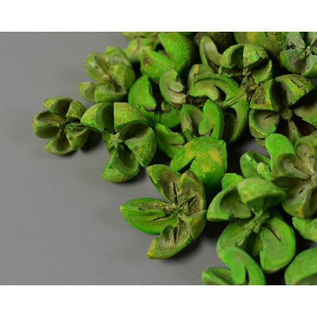 Roade lalea inalbit verde deschis
