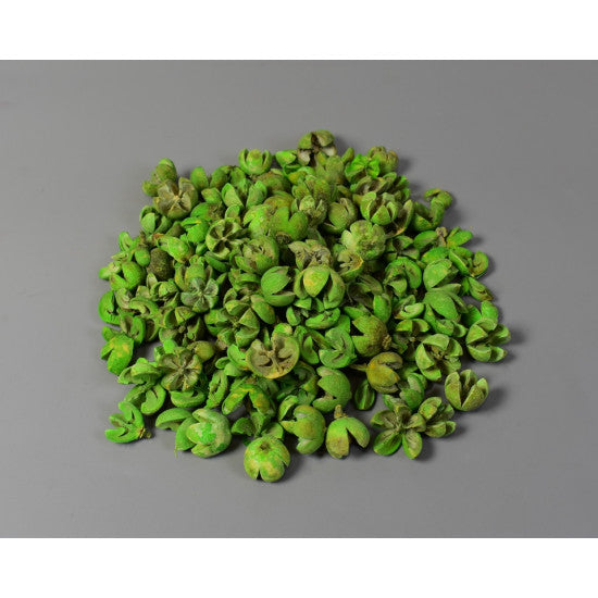 Roade lalea inalbit verde deschis