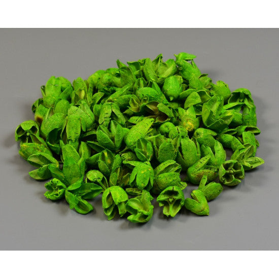 Bakuli inalbit verde deschis