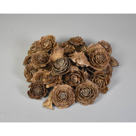 Cap trandafiri cedru 3-5cm natur
