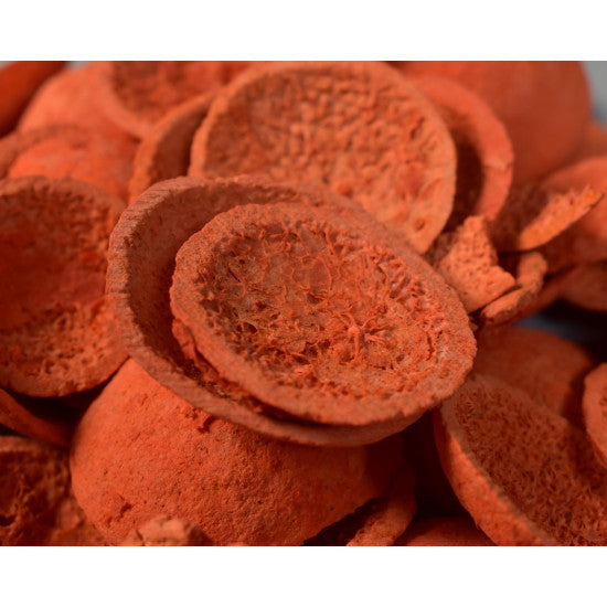 Felii Bell Cap inalbit portocaliu
