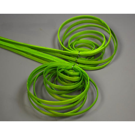 Fire cane indoite inalbit verde deschis