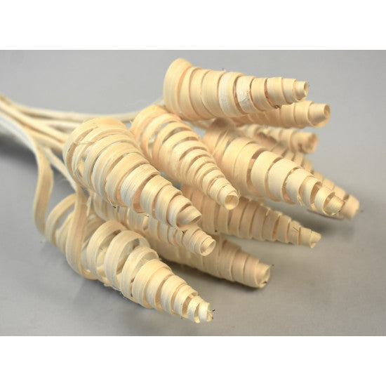 Cane Cone mini inalbit