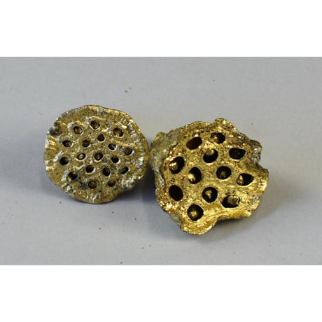 Lotus mini auriu&glitter