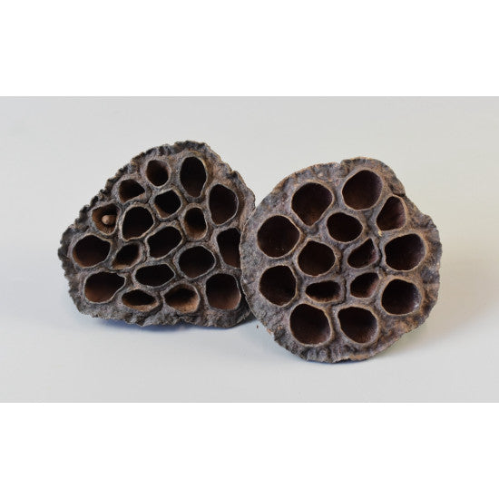 Lotus mixt 1kg natur