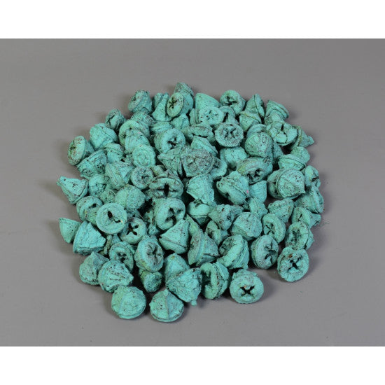 Nasturi eucalypt vopsit aqua