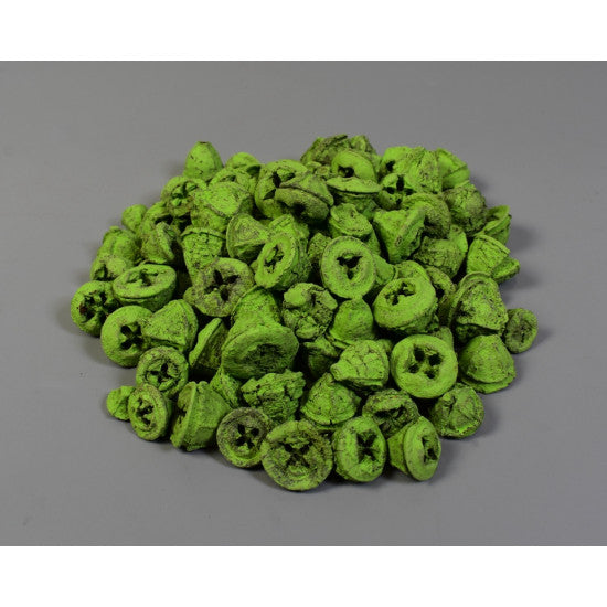 Nasturi eucalipt vopsit verde deschis