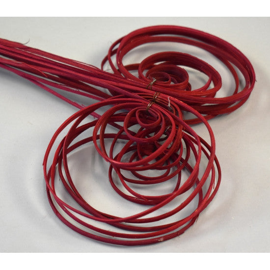 Fire cane indoite bordeaux