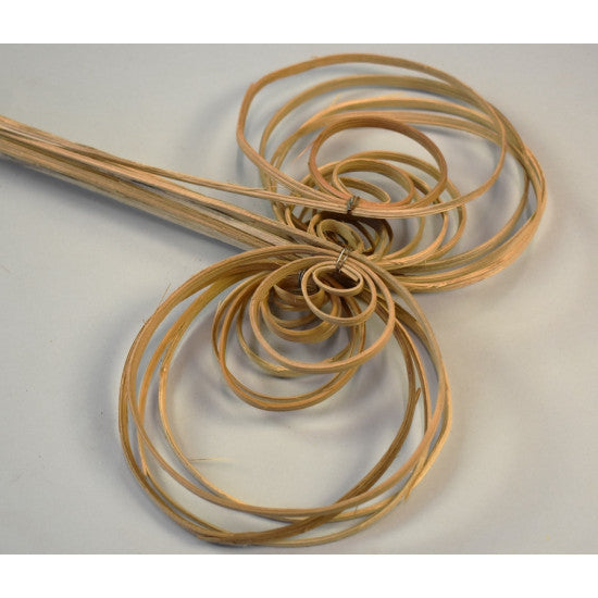 Fire cane indoite natur