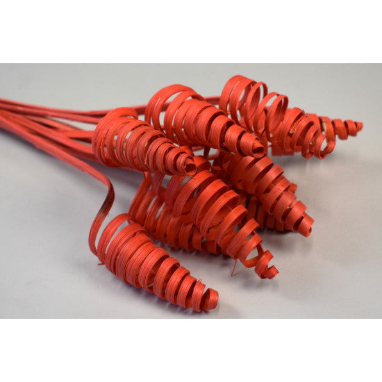 Cane Cone rosu