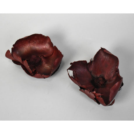 Floare de palmier mic 7-9 cm rosu