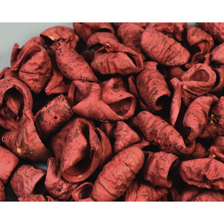Lali vopsit bordeaux