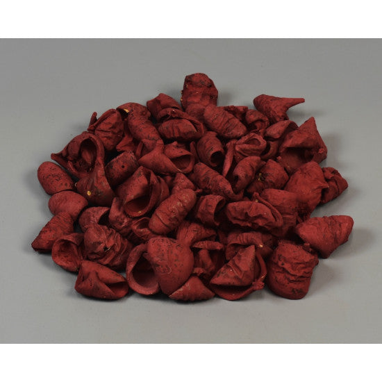 Lali vopsit bordeaux