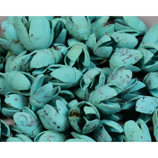 Bakuli vopsit aqua