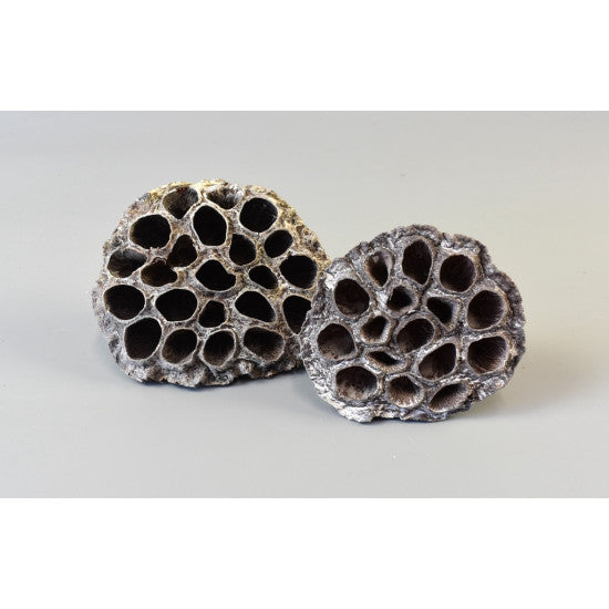 Lotus mixt 1kg cu chiciura