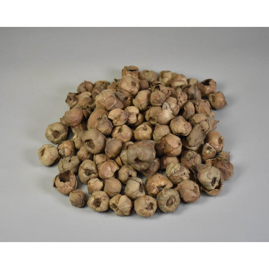 Cocos mini natur