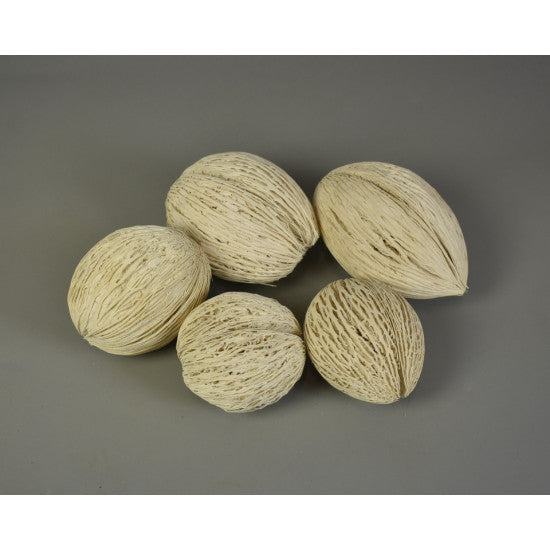 Mintola 7-9cm inalbit