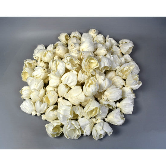 Cap trandafiri bujor ming 6cm preparat inalbit S/100