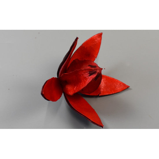 Wild lily rosu