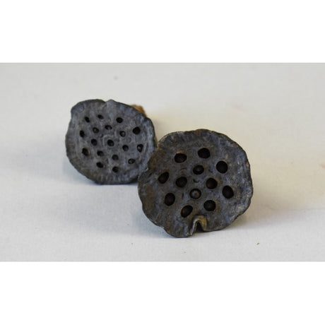 Lotus mini mini natur