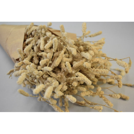 Crengi bumbac 150gr in hartie natur