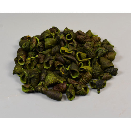 Lali verde deschis