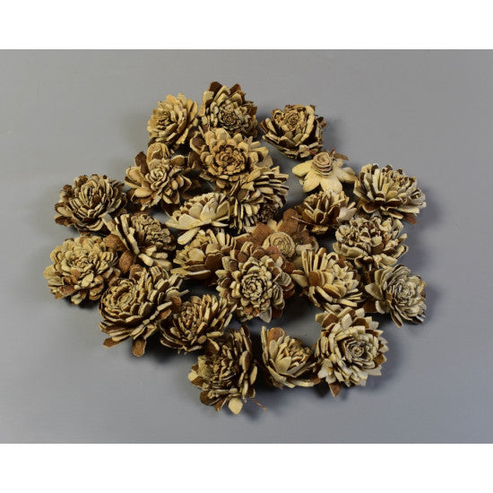 Capete ochiul boului ming 4cm cirmos natur