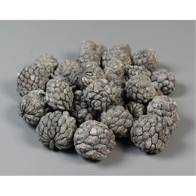 Fructe ata cu chiciura