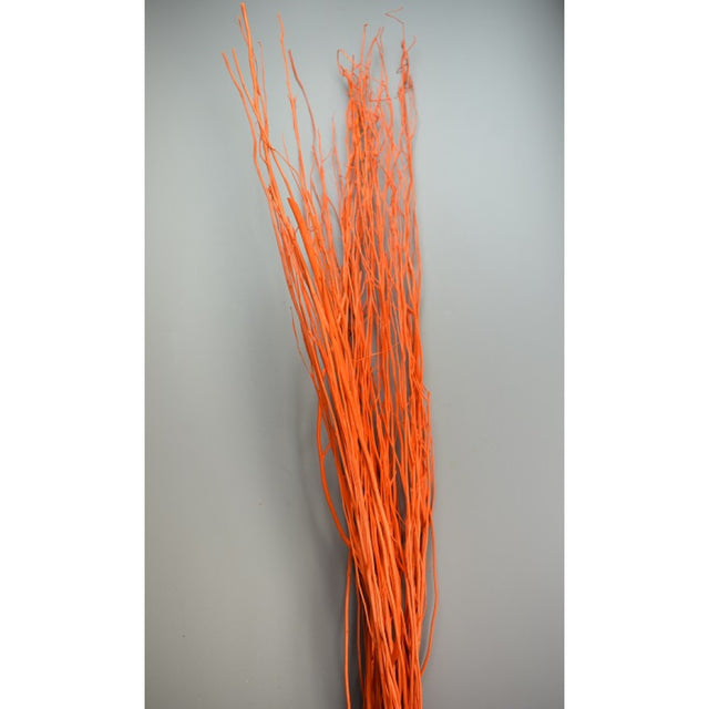 Creanga salcie inalbit portocaliu