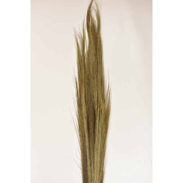 Matura din pana de stuf 100gr H:90-100cm natur