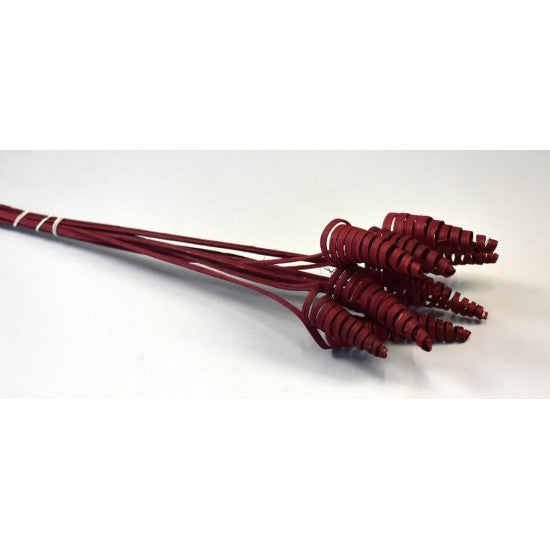 Cane cone bordeaux