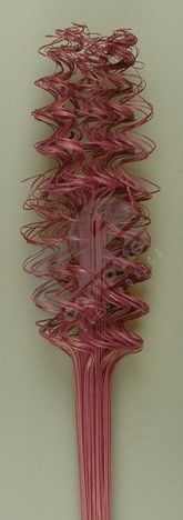 imagine produs Twisted tamboo mure