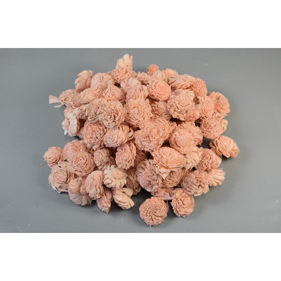 Capete anemone ming 4cm preparat piersica s/150