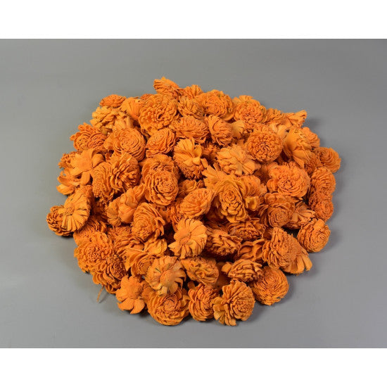 Cap anemone ming 4cm preparat miere S/150