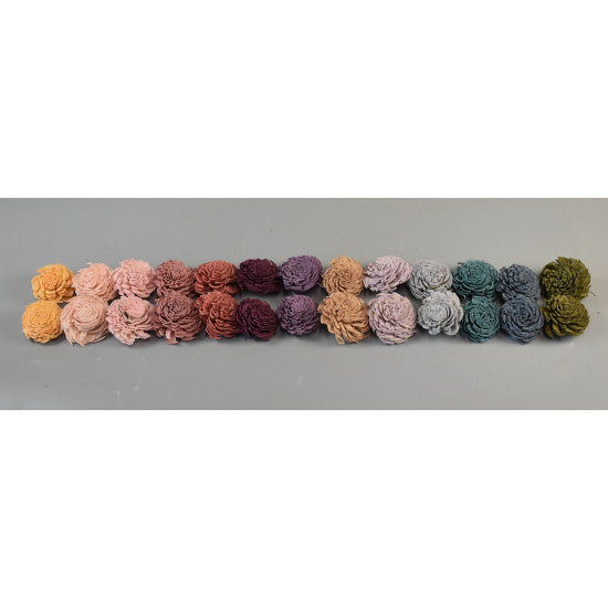 Capete anemone ming 4cm preparat roz deschis s/150