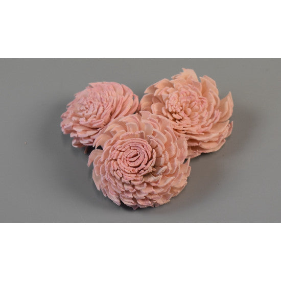 Capete anemone ming 4cm preparat roz deschis s/150