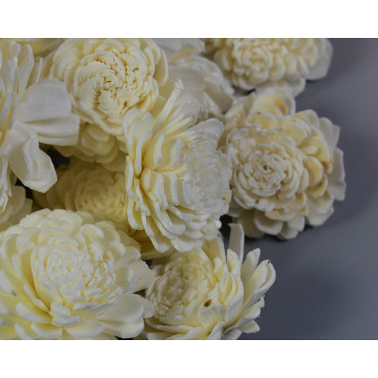 Capete floricele ming 6cm preparate înălbite (set 100 buc.)