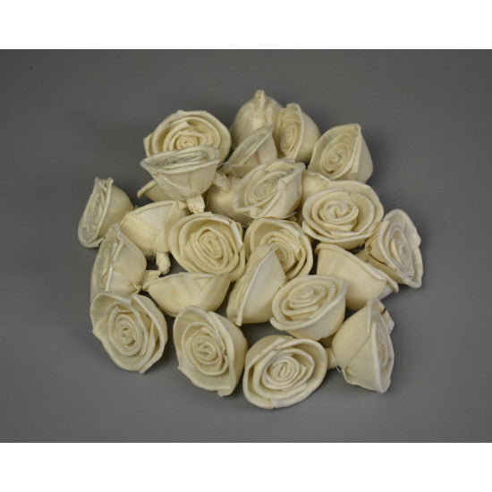 Capete trandafiri ming 4cm natur