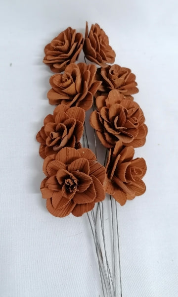 imagine produs Flori acacia 6cm vopsit