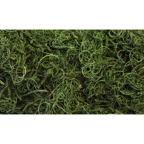 Curly moos verde inchis