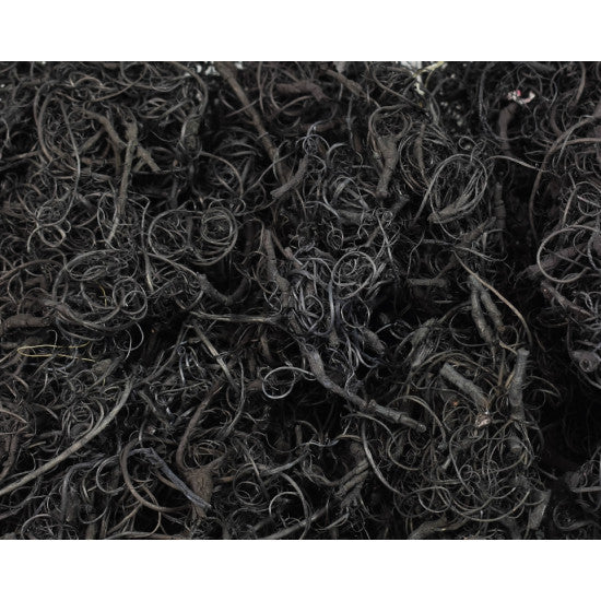 Curly moos inalbit negru