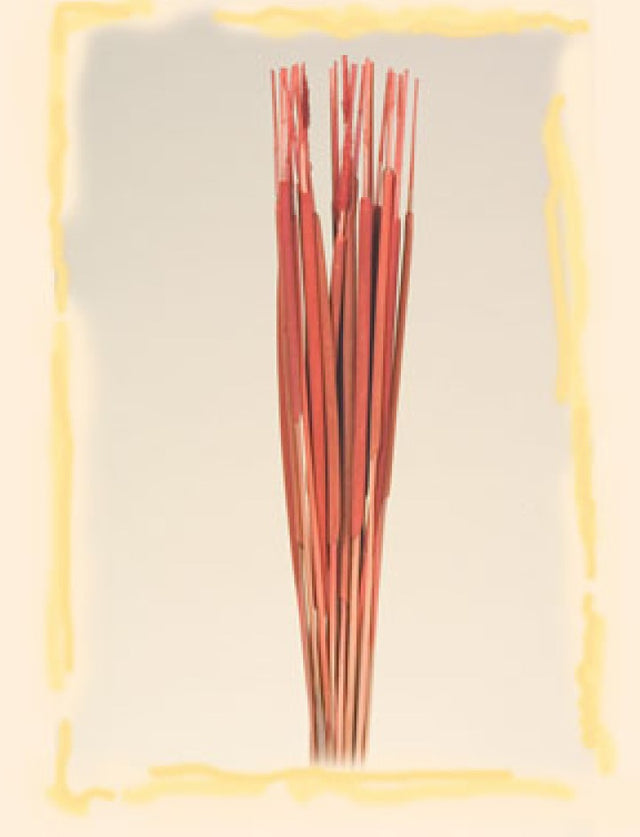 Typha India portocaliu
