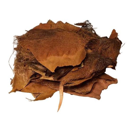 Scoarta de palmier natur