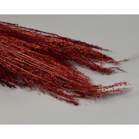 Star grass rosu