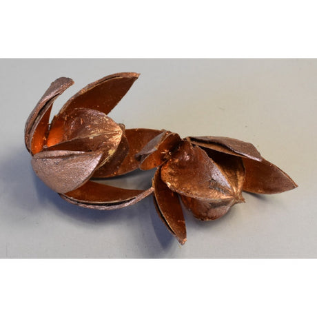 Wild Lily bronz